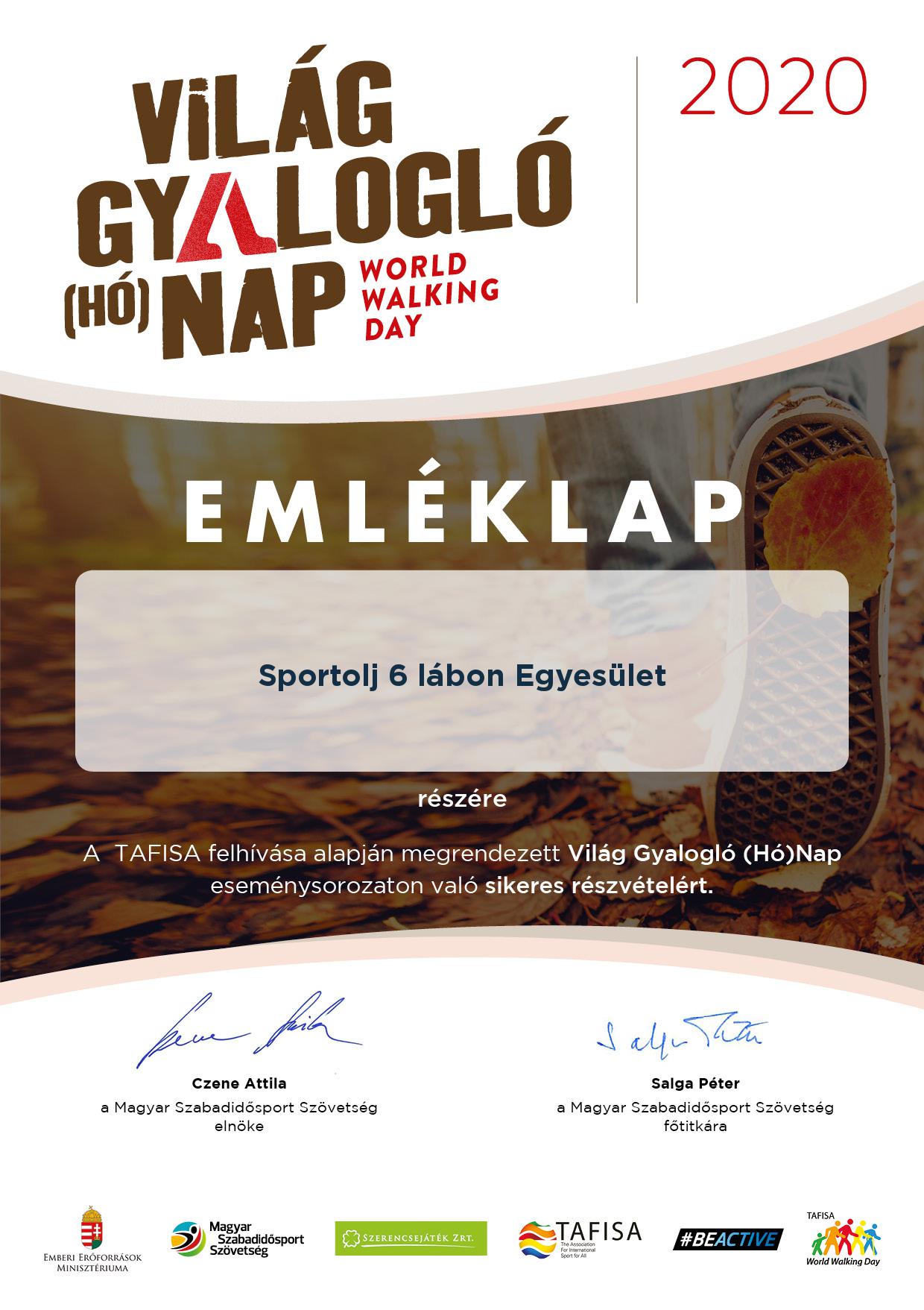 Világ Gyalogló (Hó)Nap